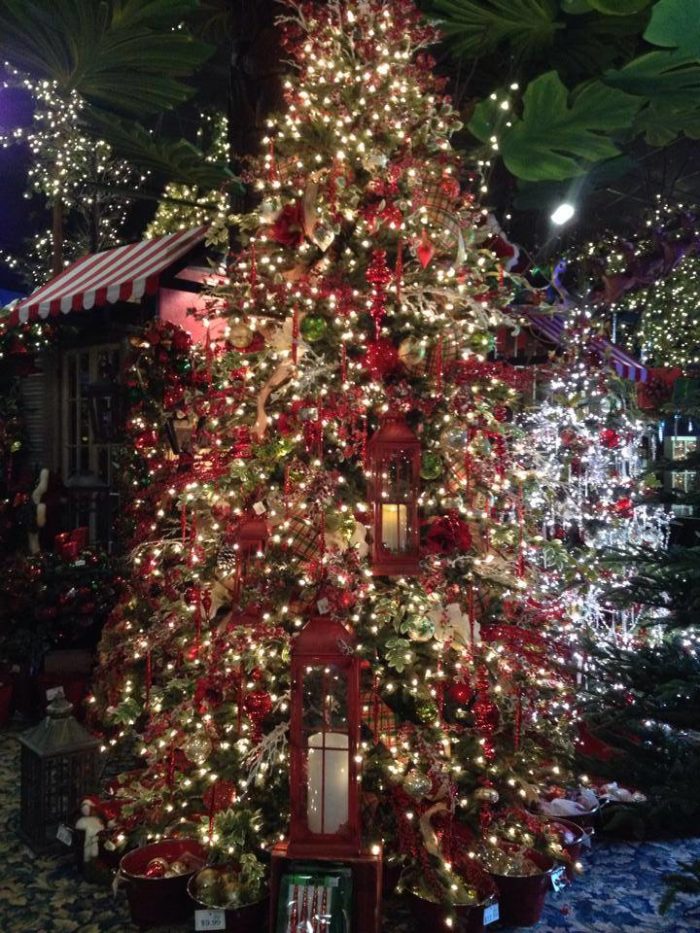 North Pole City Christmas Trees